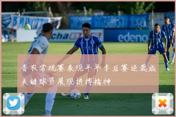 香农常规赛表现平平季后赛逆袭成关键球员展现拼搏精神