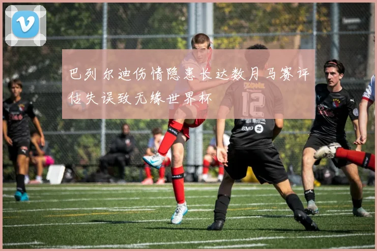 巴列尔迪伤情隐患长达数月马赛评估失误致无缘世界杯