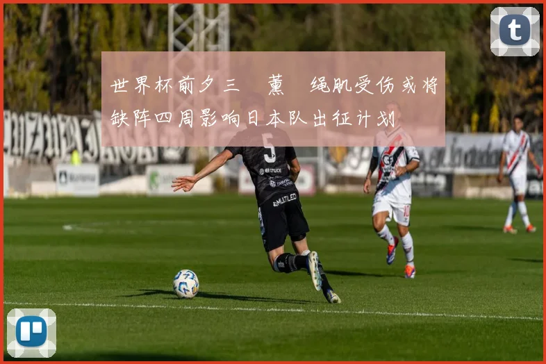 世界杯前夕三笘薰腘绳肌受伤或将缺阵四周影响日本队出征计划