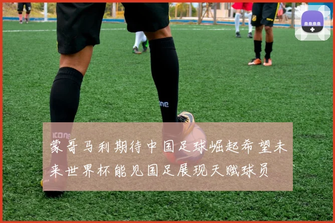 蒙哥马利期待中国足球崛起希望未来世界杯能见国足展现天赋球员